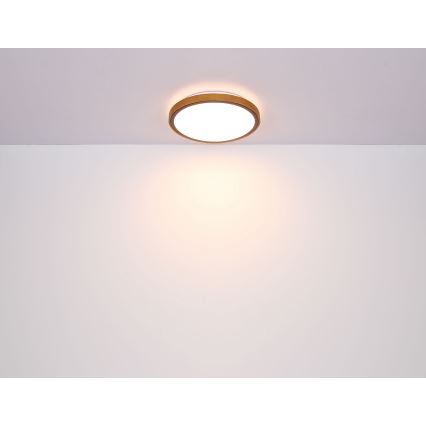 Globo - LED plafonsko svetlo LED/12W/230V 3000/4500/6000K prečnik 30 cm