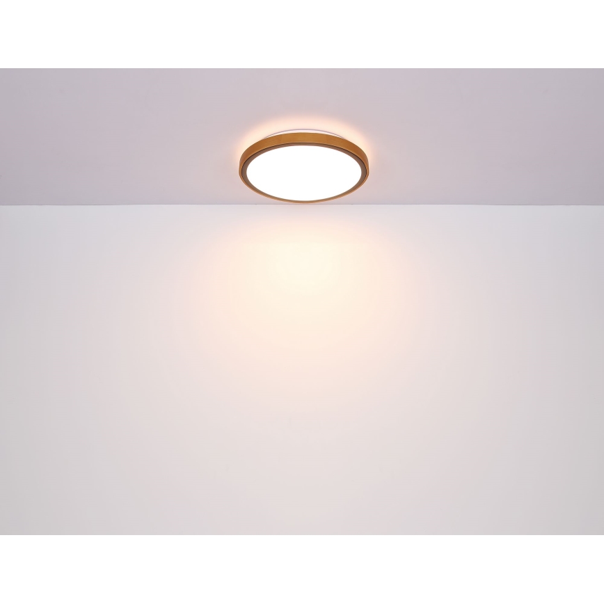 Globo - LED plafonsko svetlo LED/12W/230V 3000/4500/6000K prečnik 30 cm