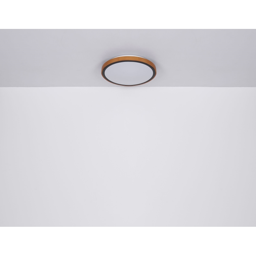 Globo - LED plafonsko svetlo LED/12W/230V 3000/4500/6000K prečnik 30 cm