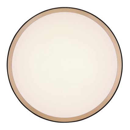 Globo - LED plafonsko svetlo LED/12W/230V 3000/4500/6000K prečnik 30 cm