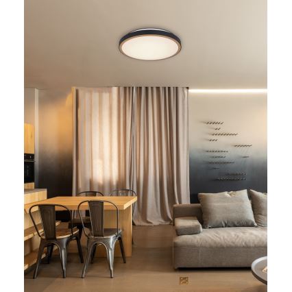 Globo - LED Plafonjera LED/24W/230V 3000/4500/6000K pr. 42 cm