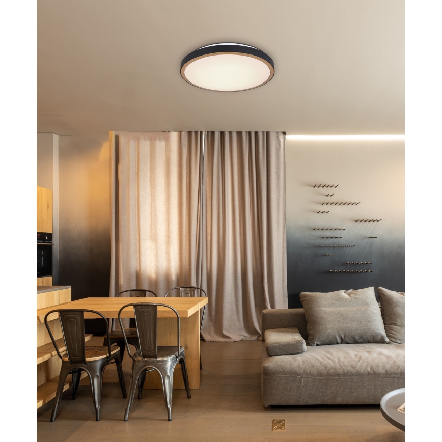 Globo - LED Plafonjera LED/24W/230V 3000/4500/6000K pr. 42 cm