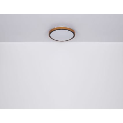 Globo - LED Plafonjera LED/12W/230V 3000/4500/6000K pr. 30 cm