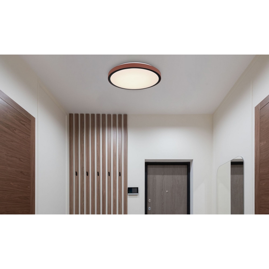 Globo - LED Plafonjera LED/24W/230V 3000/4500/6000K pr. 42 cm