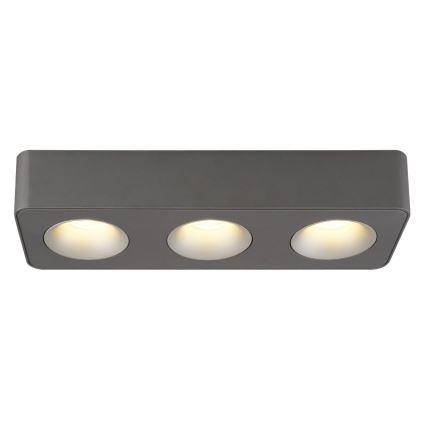 Globo - LED stropno svetlo LED/14W/230V 11,7x33,2 cm