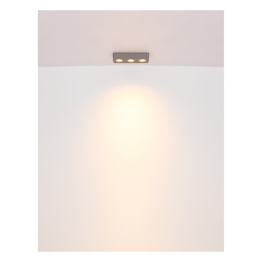 Globo - LED stropno svetlo LED/14W/230V 11,7x33,2 cm