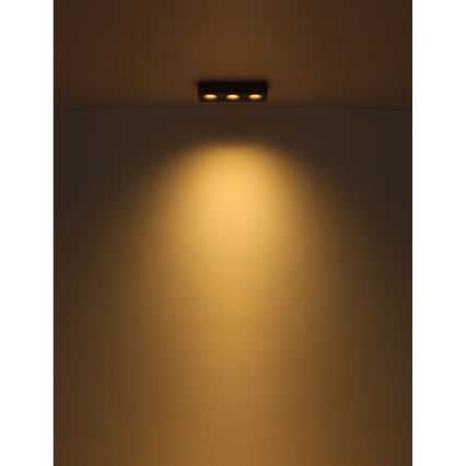 Globo - LED stropno svetlo LED/14W/230V 11,7x33,2 cm