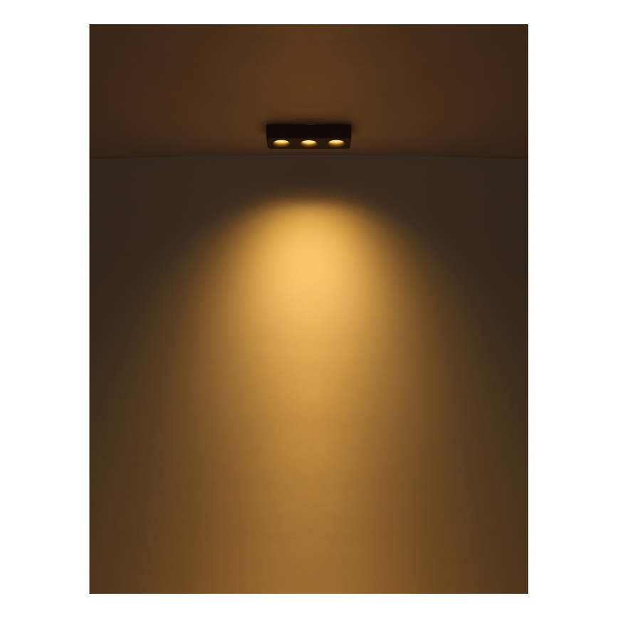 Globo - LED stropno svetlo LED/14W/230V 11,7x33,2 cm