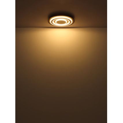 Globo - LED Plafonjera LED/24W/230V 3000K pr. 32 cm antracit
