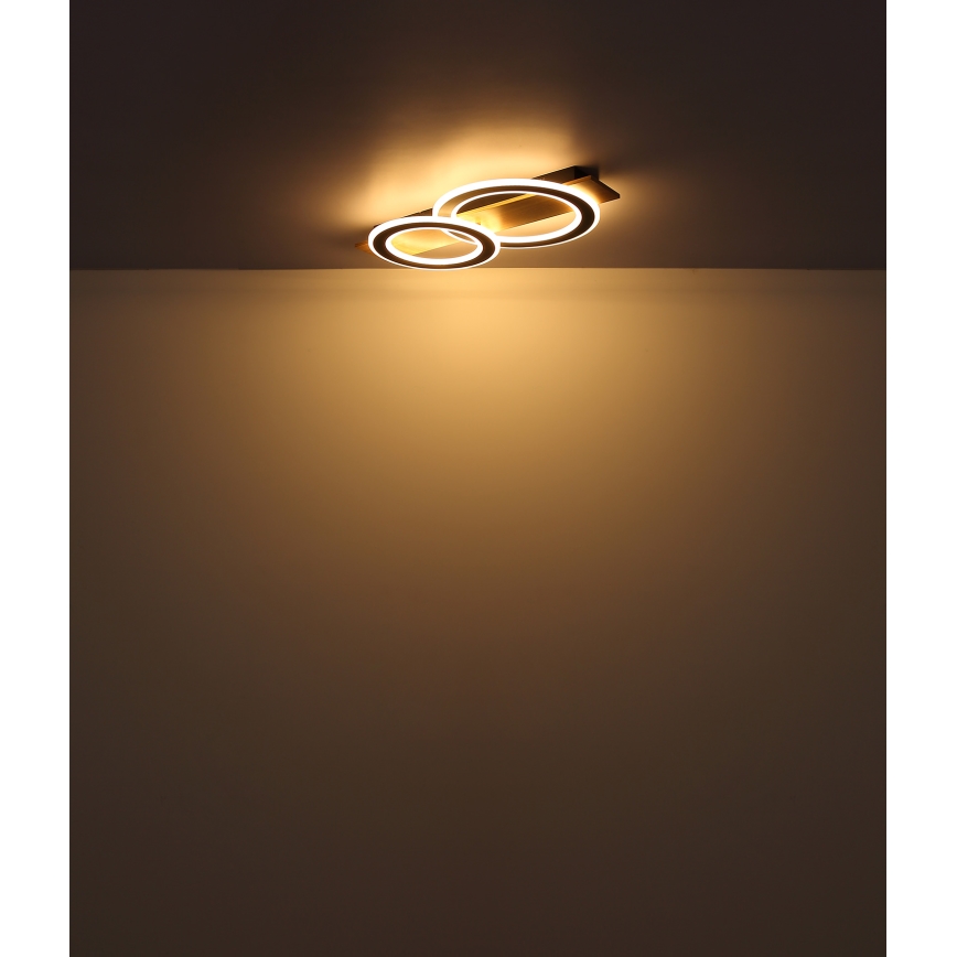 Globo - LED Plafonjera LED/40W/230V braon