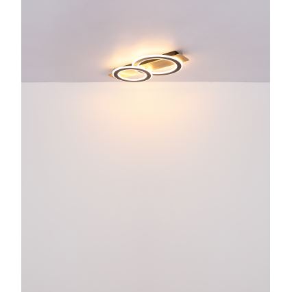 Globo - LED Plafonjera LED/40W/230V braon