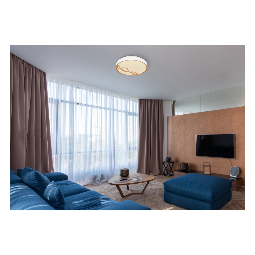 Globo - LED Prigušiva stropna svjetiljka LED/30W/230V 2700K/4000K/6500K + daljinski upravljač