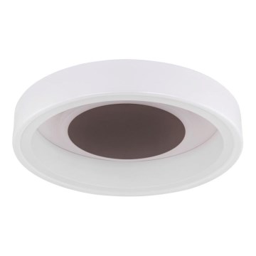 Globo 48398-24 - LED Plafonjera GOFFI LED/30W/230V