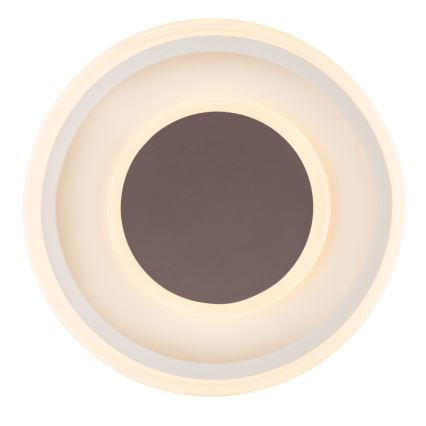 Globo 48398-24 - LED Plafonjera GOFFI LED/30W/230V