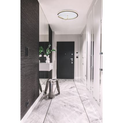 Globo - LED Prigušiva plafonjera RODAN LED/50W/230V 3000-6000K + Daljinski upravljač