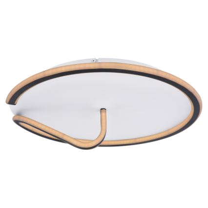 Globo - LED Prigušiva plafonjera RODAN LED/50W/230V 3000-6000K + Daljinski upravljač