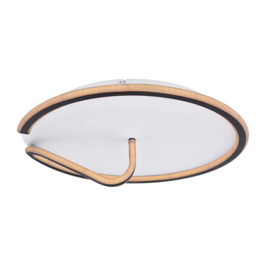 Globo - LED Prigušiva plafonjera RODAN LED/50W/230V 3000-6000K + Daljinski upravljač