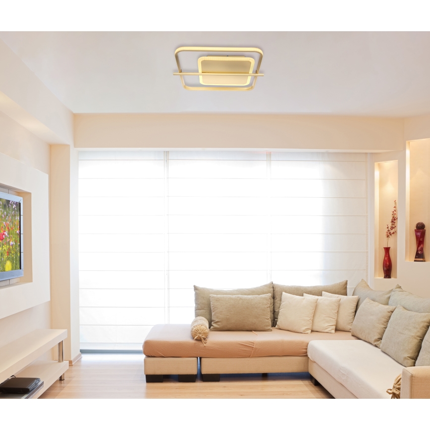 Globo - LED Plafonjera LED/36W/230V