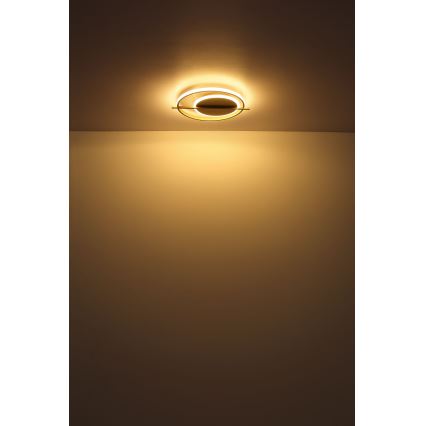 Globo - LED Plafonjera LED/36W/230V