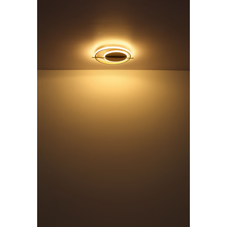 Globo - LED Plafonjera LED/36W/230V