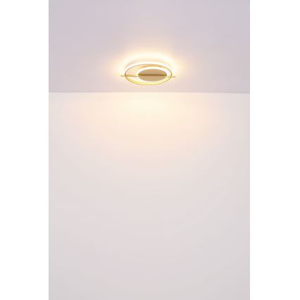 Globo - LED Plafonjera LED/36W/230V
