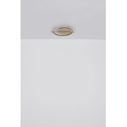 Globo - LED Plafonjera LED/36W/230V