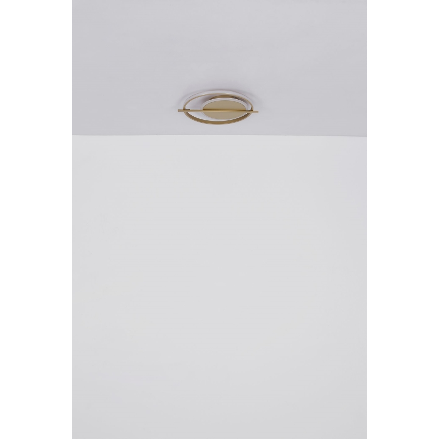 Globo - LED Plafonjera LED/36W/230V