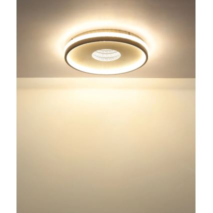 Globo - Prigušiva plafonska LED svetiljka LED/30W/230V 2700-6500K prečnik 41 cm + daljinski upravljač