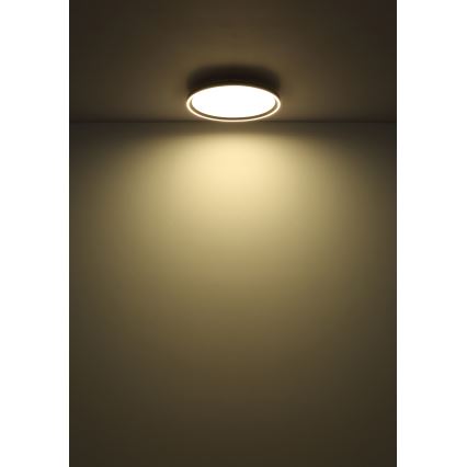 Globo - LED Prigušiva plafonjera LED/48W/230V pr. 50 cm 2700-6000K + Daljinski upravljač