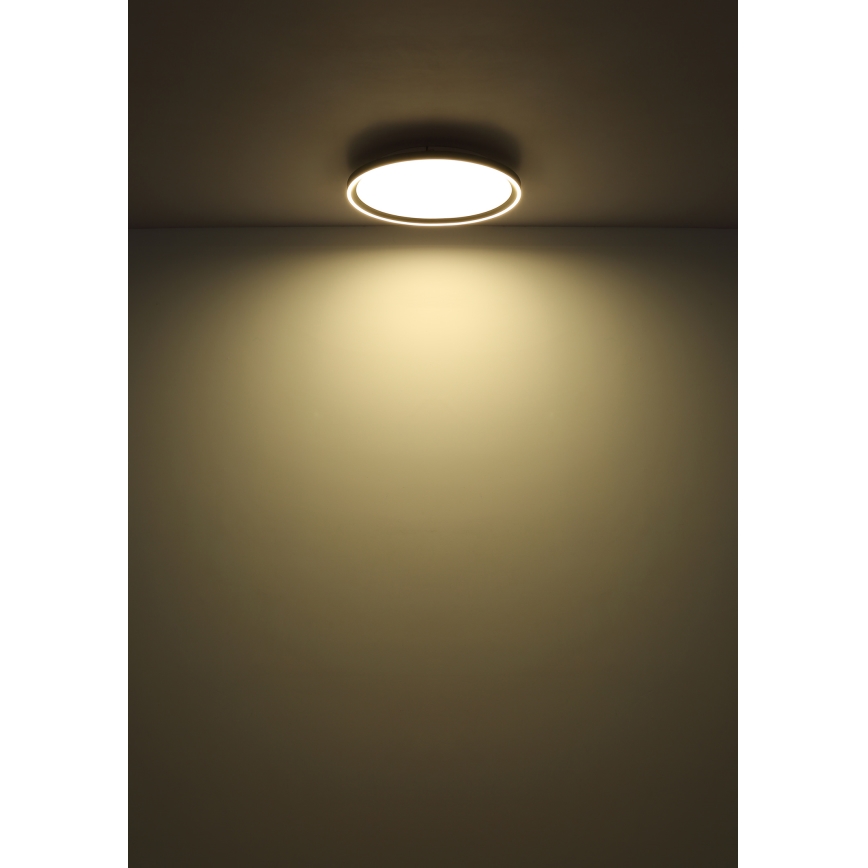 Globo - LED Prigušiva plafonjera LED/48W/230V pr. 50 cm 2700-6000K + Daljinski upravljač