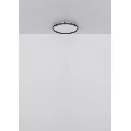 Globo - LED Prigušiva plafonjera LED/48W/230V pr. 50 cm 2700-6000K + Daljinski upravljač