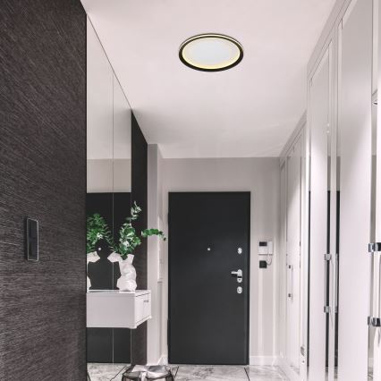 Globo - LED Prigušiva plafonjera LED/24W/230V 2700-6000K + Daljinski upravljač