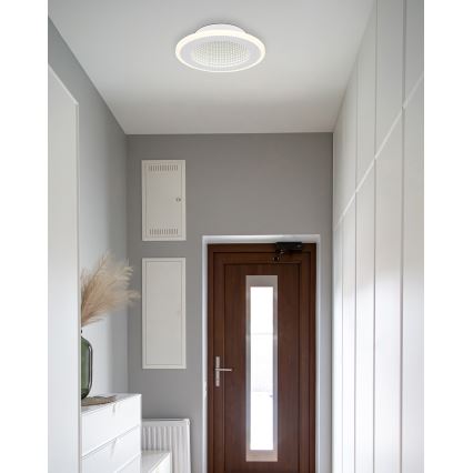 Globo - LED Plafonjera LED/12W/230V 4000K