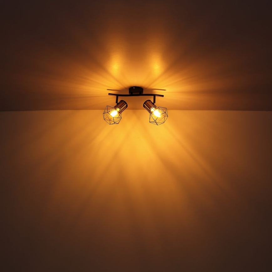Globo - Reflektorska lampa 2xE27/40W/230V