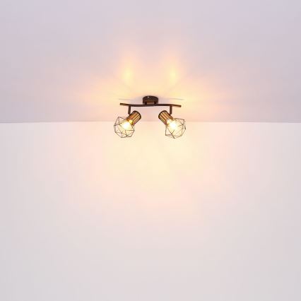 Globo - Reflektorska lampa 2xE27/40W/230V