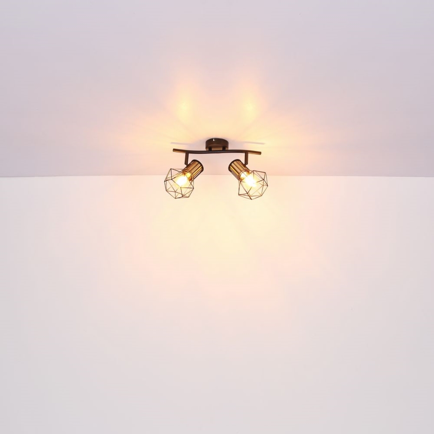 Globo - Reflektorska lampa 2xE27/40W/230V