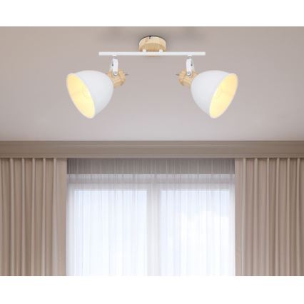 Globo - Reflektorska lampa 2xE27/40W/230V
