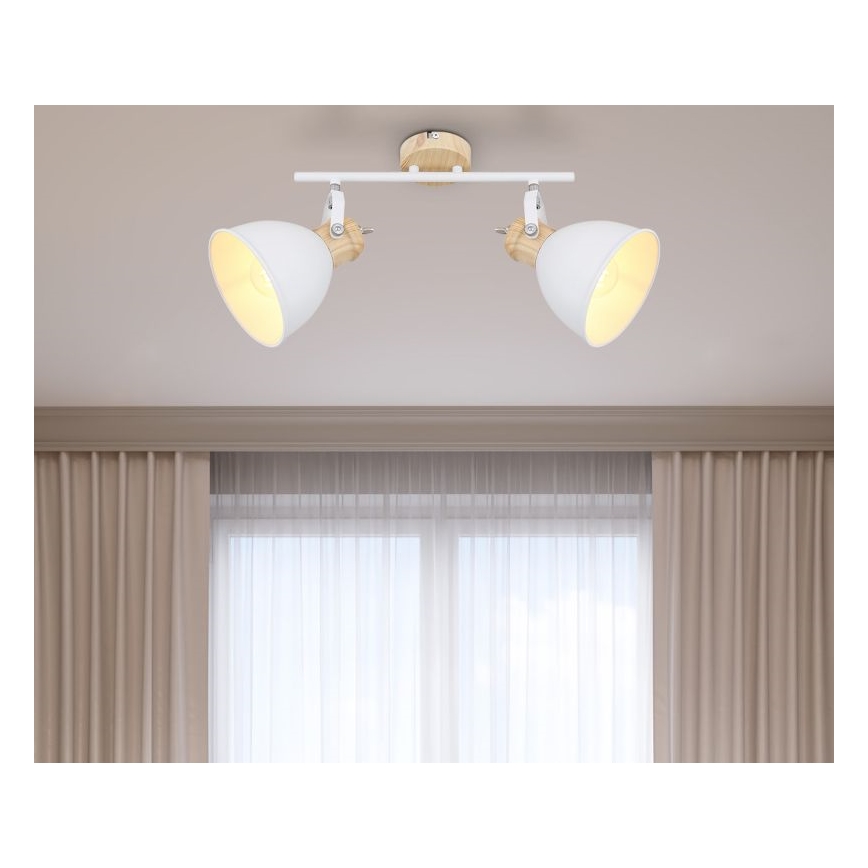 Globo - Reflektorska lampa 2xE27/40W/230V