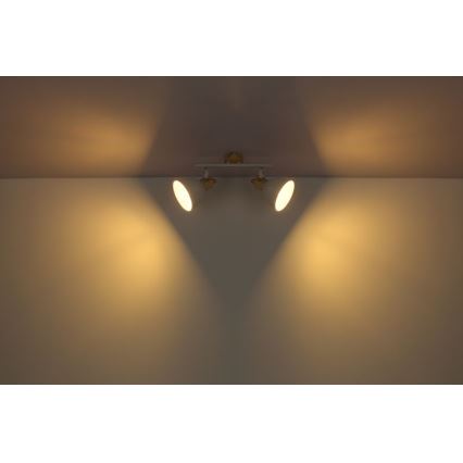 Globo - Reflektorska lampa 2xE27/40W/230V