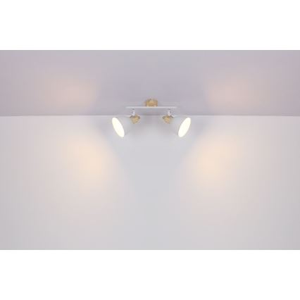 Globo - Reflektorska lampa 2xE27/40W/230V