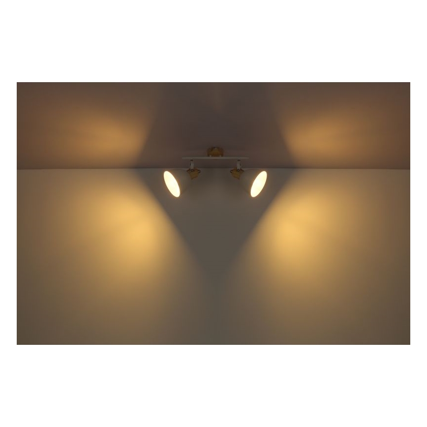 Globo - Spot svetiljka 2xE27/40W/230V