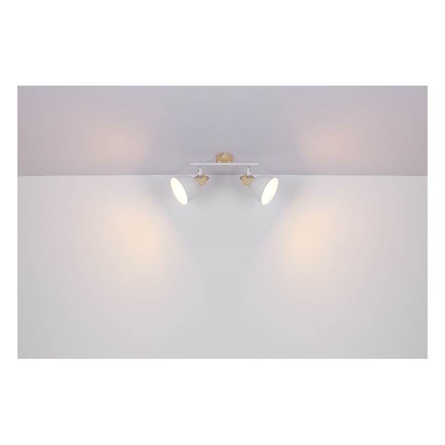 Globo - Spot svetiljka 2xE27/40W/230V