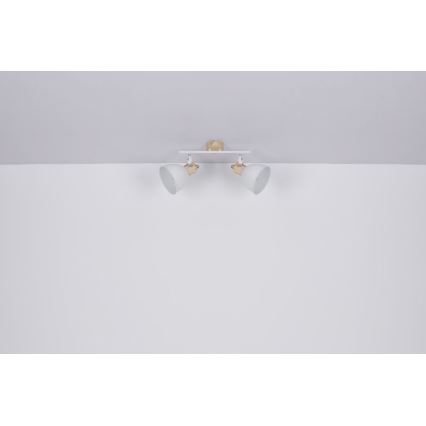 Globo - Spot svetiljka 2xE27/40W/230V