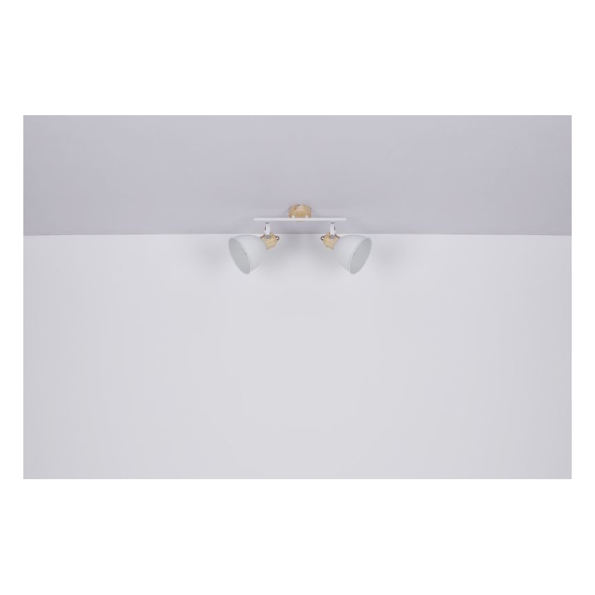 Globo - Spot svetiljka 2xE27/40W/230V