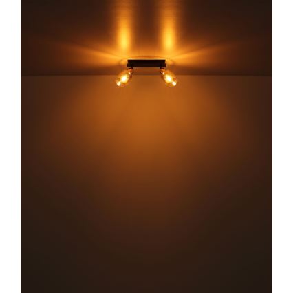Globo - Reflektorska lampa 2xE14/25W/230V