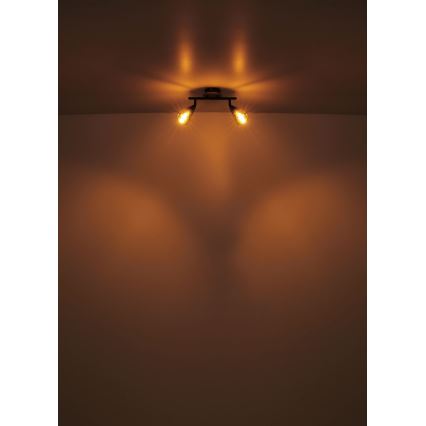 Globo - Reflektorska lampa 2xE14/25W/230V