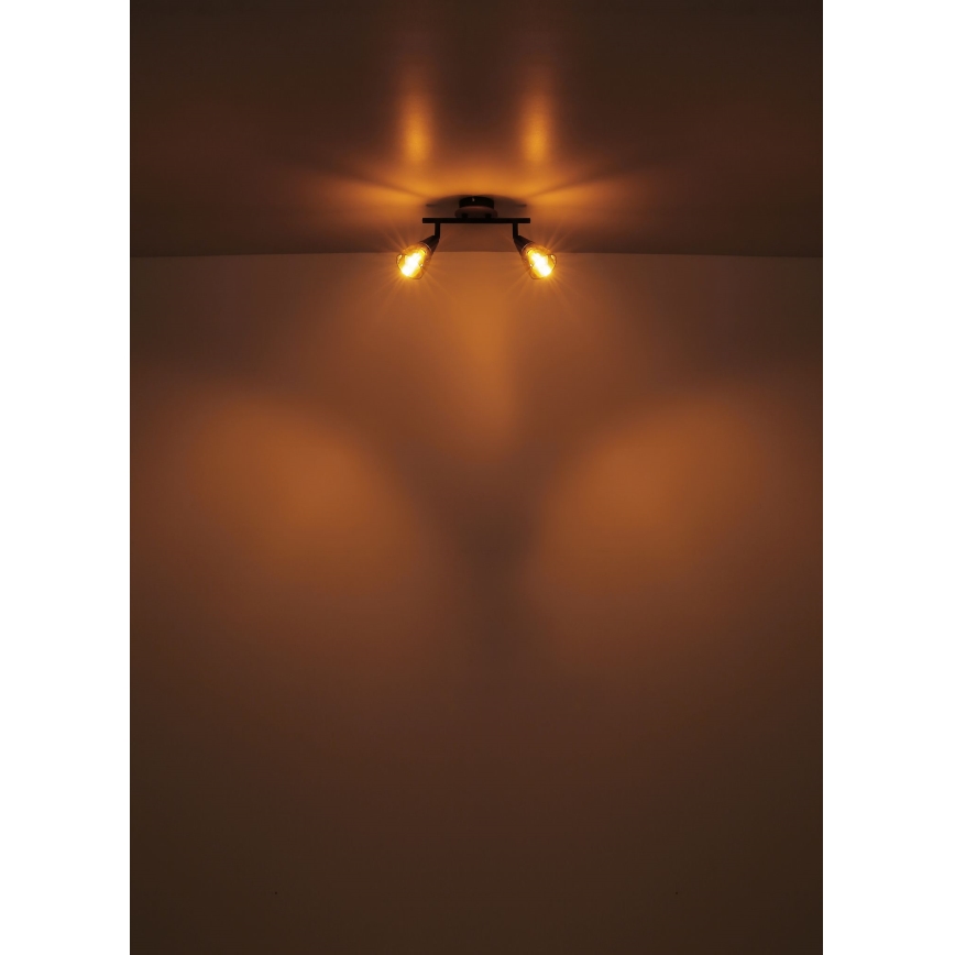 Globo - Reflektorska lampa 2xE14/25W/230V