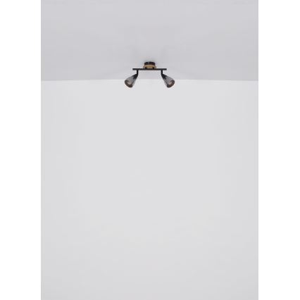 Globo - Reflektorska lampa 2xE14/25W/230V