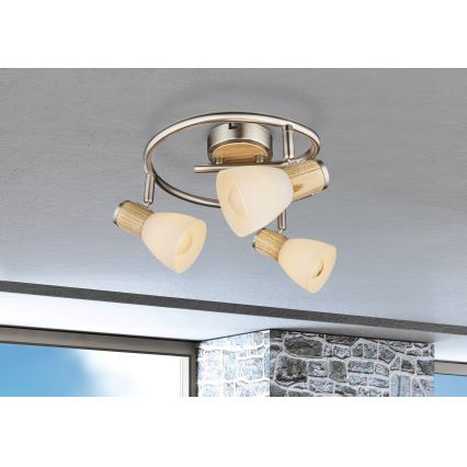 Globo - Reflektorska lampa 3xE14/40W/230V jasen