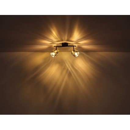 Globo - Reflektorska lampa 2xE14/40W/230V